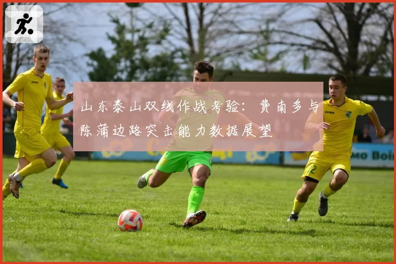 山东泰山双线作战考验：费南多与陈蒲边路突击能力数据展望