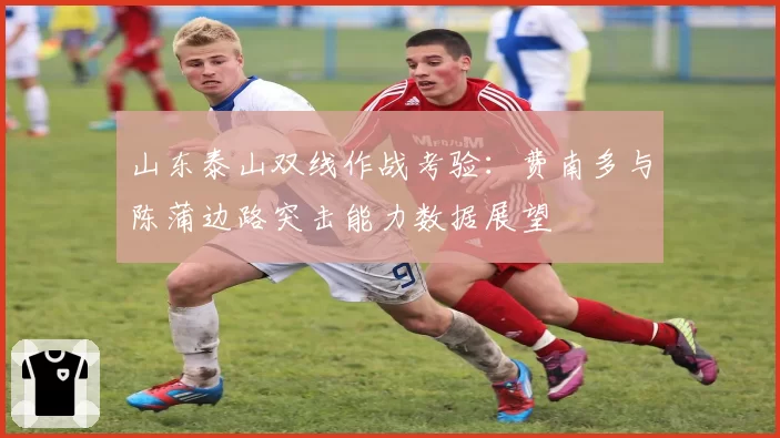 山东泰山双线作战考验:费南多与陈蒲边路突击能力数据展望
