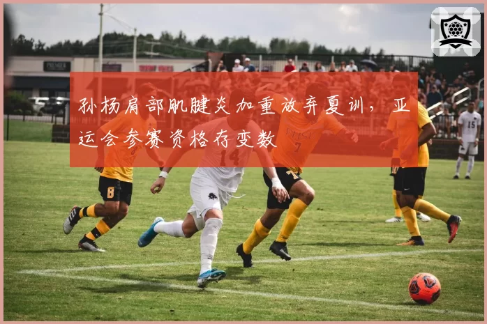 孙杨肩部肌腱炎加重放弃夏训,亚运会参赛资格存变数